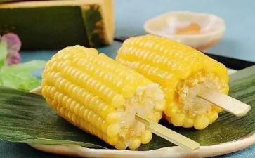 种玉米苗作文模板8篇