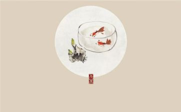 幼儿园节气活动方案6篇