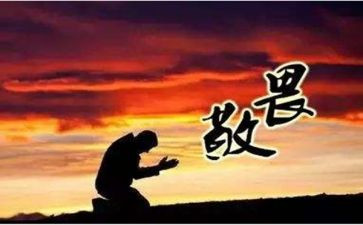 《敬畏生命》读后感7篇