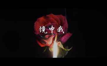 镜中的我作文300字8篇