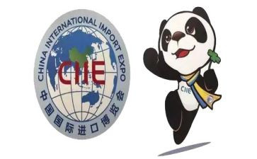 中国进口博览会心得体会6篇
