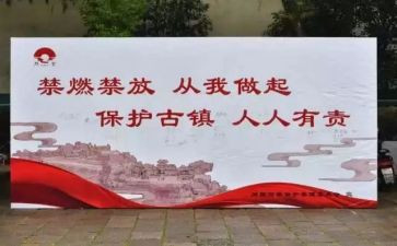 禁燃禁放工作总结7篇