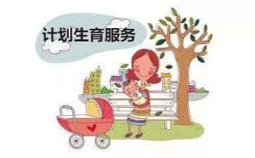 计生个人工作总结范文7篇