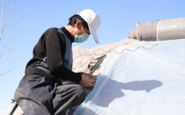 技术组的工作计划参考5篇