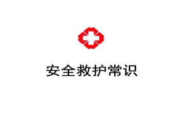 救护队年度总结6篇