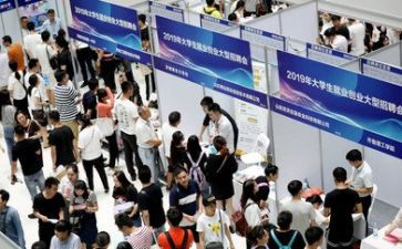 大学学生就业现状调查报告6篇