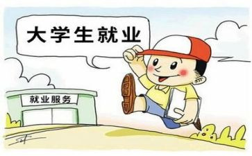 就业局就业工作总结6篇