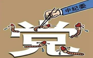 2024镇纪委工作总结6篇
