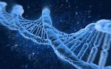 传承红色基因主题教育心得体会5篇