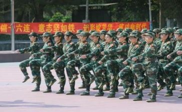军训七天心得体会800字7篇