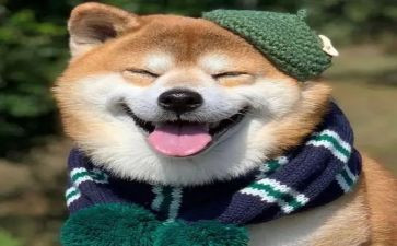 暑假最开心的一天作文6篇