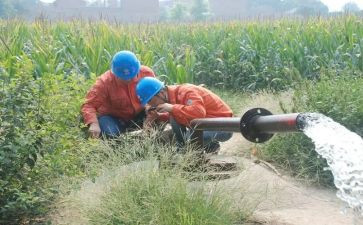 2024年度防汛抗旱工作总结8篇