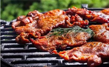 吃烤肉作文5篇