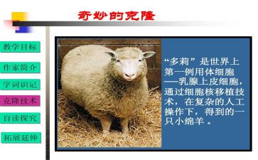 克隆过的我作文8篇