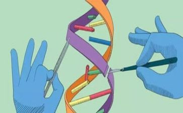 科学培优补差工作计划5篇
