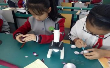 科学课工作计划优质8篇