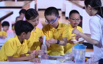 小学科学课培训心得模板7篇
