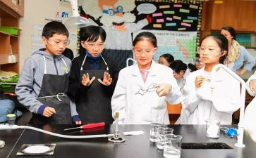 小学科学课培训心得5篇