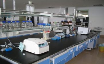 2024年科研工作总结范文5篇
