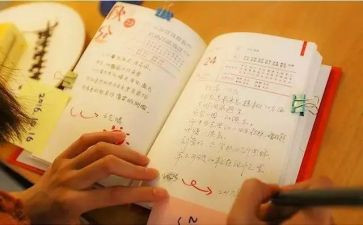 苦与乐作文500字优质5篇
