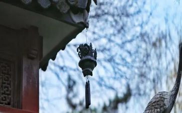 《文化苦旅》读后感300字8篇