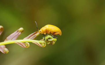 昆虫记读后感读后感500字模板6篇