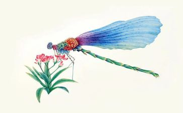 昆虫记螳螂的巢读后感6篇