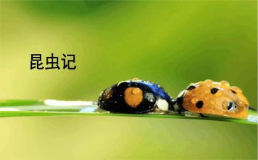 昆虫记《蜜蜂》读后感7篇