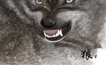 《狼》得读后感精选5篇