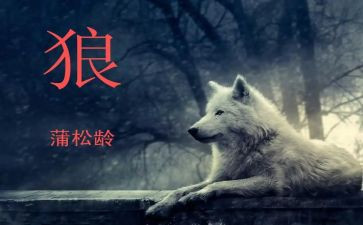 《狼》得读后感8篇