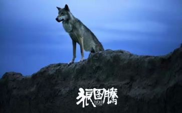 狼图腾27读后感优质8篇