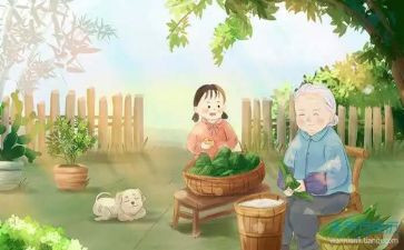 我的姥姥的作文模板6篇