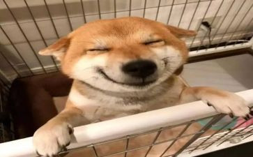学习与快乐演讲稿模板6篇