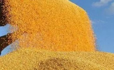 粮食心得体会最新5篇