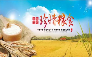 粮食节约教育活动方案5篇
