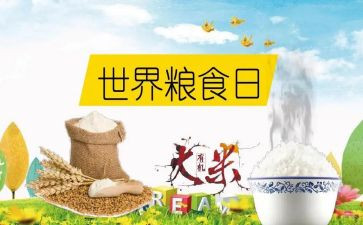 粮食节约工作总结6篇