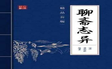 聊斋读后感读后感最新6篇