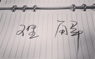 对书的感悟和理解作文7篇