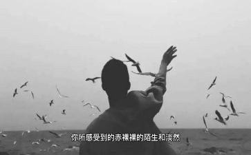 爱从未离开作文8篇