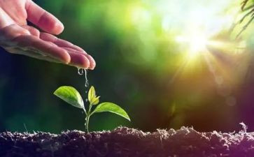 历练中成长作文5篇