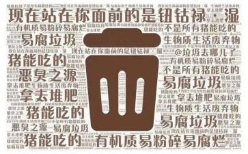 捡垃圾心得体会参考5篇