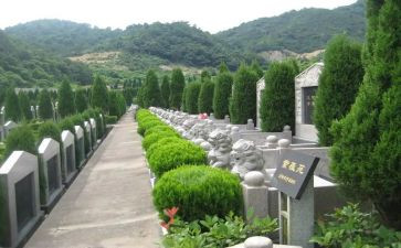 去烈士陵园写心得8篇