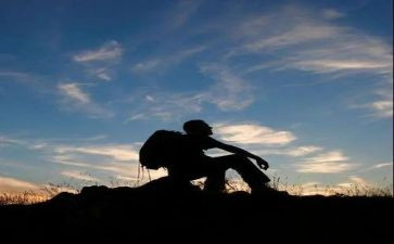 救流浪猫作文最新8篇