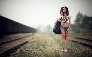 救流浪猫作文推荐5篇