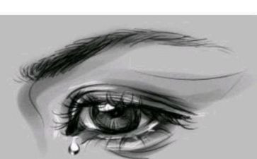 为爱流泪的作文最新6篇