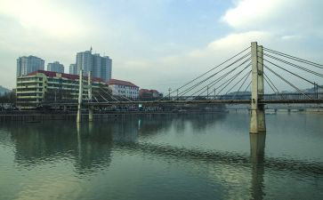 柳柳林风声读后感7篇