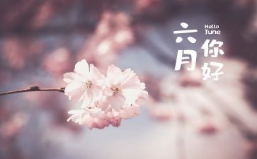 六月班主任工作总结8篇
