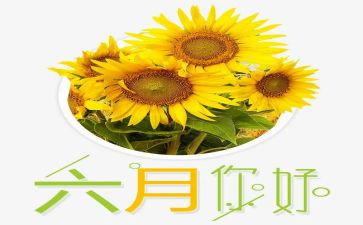小班六月工作总结7篇