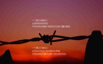 800字励志作文6篇