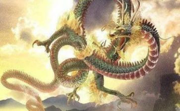 划龙舟比赛活动方案6篇